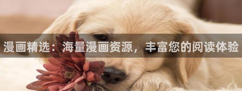 韩漫画免费无删减：漫画精选：海量漫画资源，丰富您的阅读体验