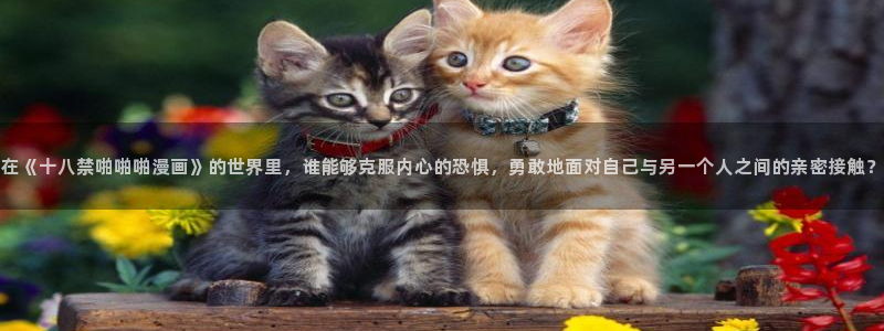 韩漫免费观看下拉式漫画网站推荐