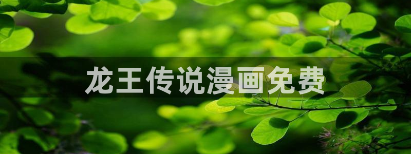 韩漫女神网站：龙王传说漫画免费