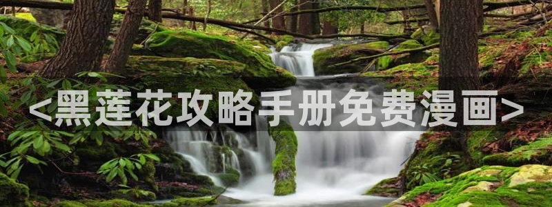 有什么网站可以看韩漫：<黑莲花攻略手册免费漫画>