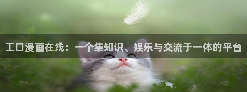 排球少女韩漫免费观看：工口漫画在线：一个集知识、娱乐与交流于一体的平台