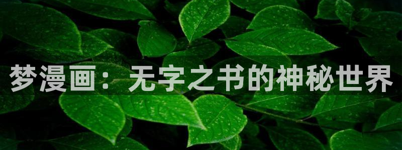韩漫av网站：梦漫画：无字之书的神秘世界