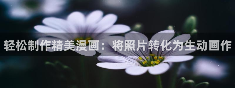 韩漫系列漫画大全：轻松制作精美漫画：将照片转化为生动画作