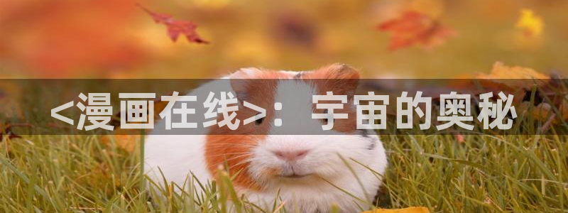 汗汗韩漫在线免费看