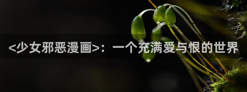 羞羞漫画在线观看免费韩漫