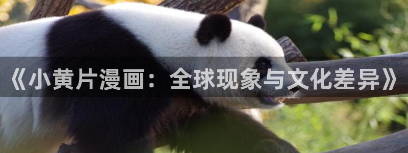 韩漫画秘密教学：《小黄片漫画：全球现象与文化差异》
