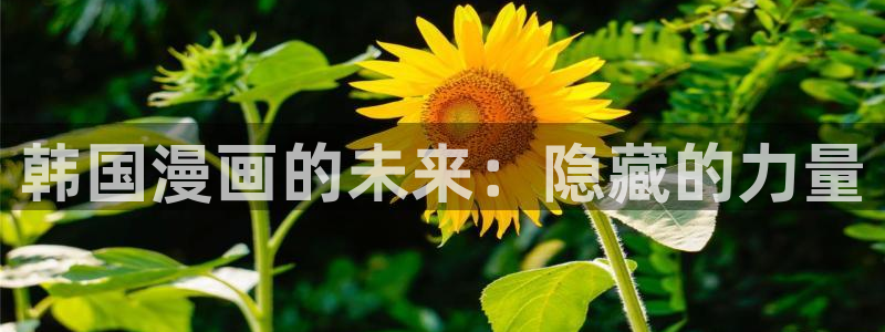 韩漫免费观看漫画的软件下载：韩国漫画的未来：隐藏的力量