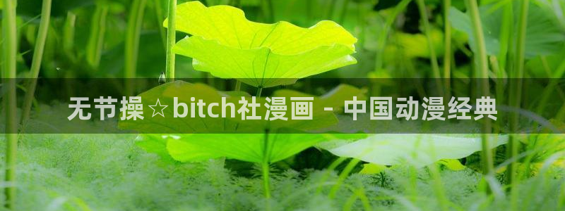日韩漫画网免费看：无节操☆bitch社漫画 - 中国动漫经典